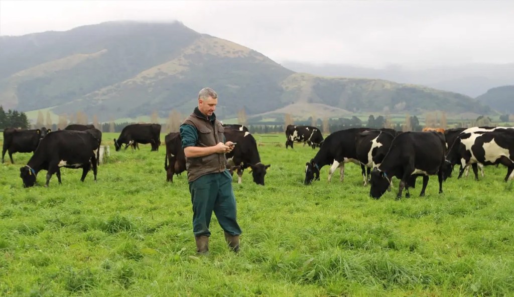 SenseHub® Dairy cow collars help deliver a more sustainable level of performance