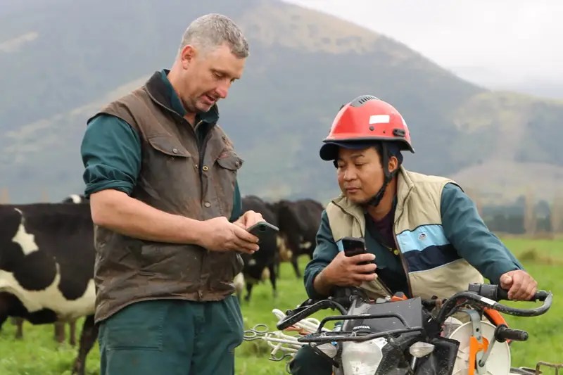 SenseHub® Dairy cow collars help deliver a more sustainable level of performance