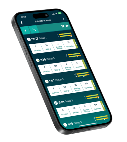 iphone with SenseHub Dairy Animals in heat data on screen