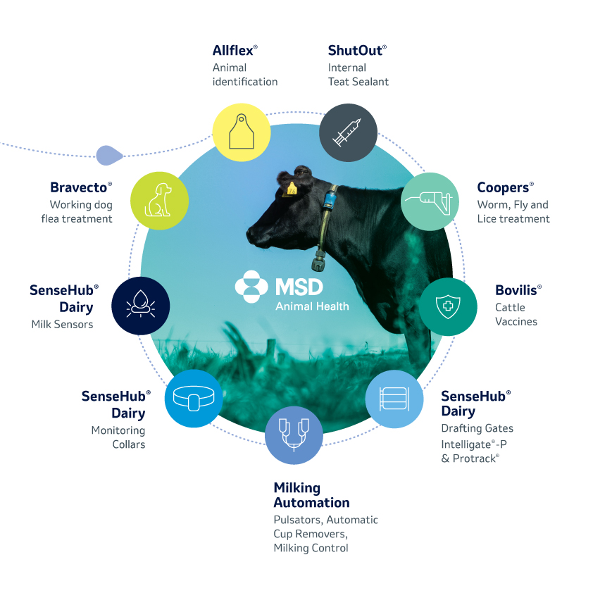 MSD Animal Health offers many well known brands to dairy farmers